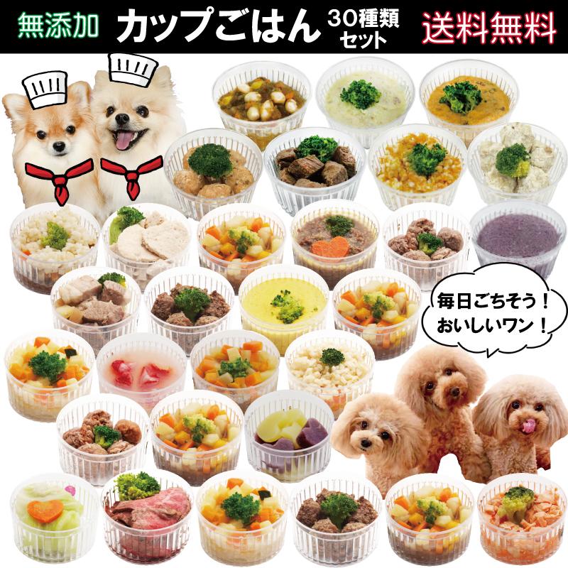 帝塚山WANBANA 犬の手作りごはん 馬肉と玄米のリゾット ドッグ