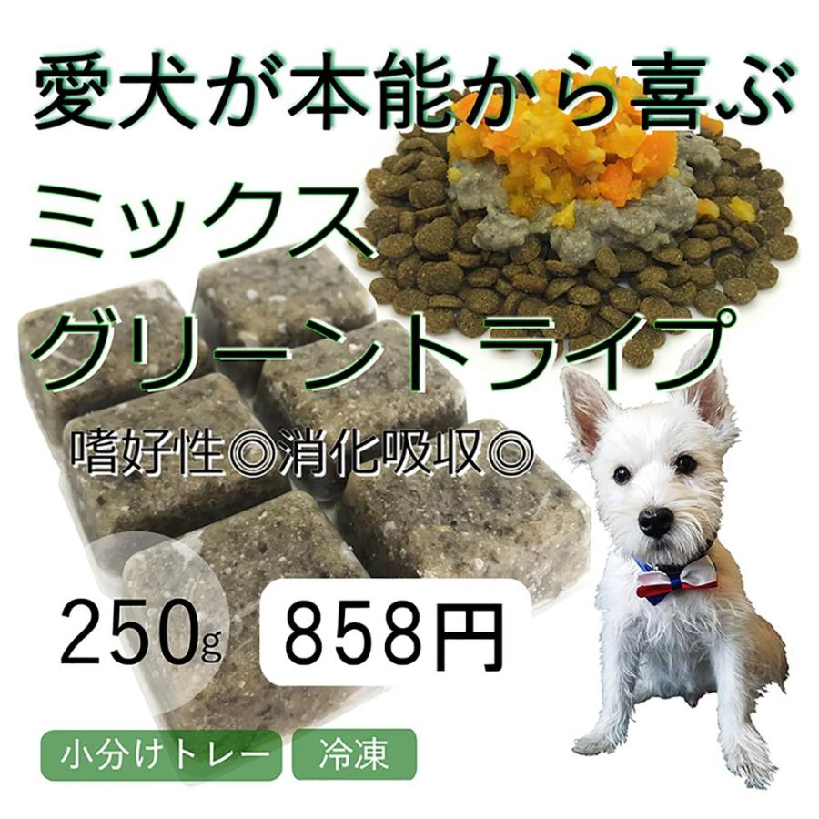 犬用のトッピング 無添加 トライプ グリーントライプ 250g 小オリジナル ミックス 分けトレー入り ベニソン 鹿 バイソン 帝塚山wanbana ワンバナ Greenmixtripe 250g 犬猫用ケーキおやつ帝塚山ワンバナ 通販 Yahoo ショッピング