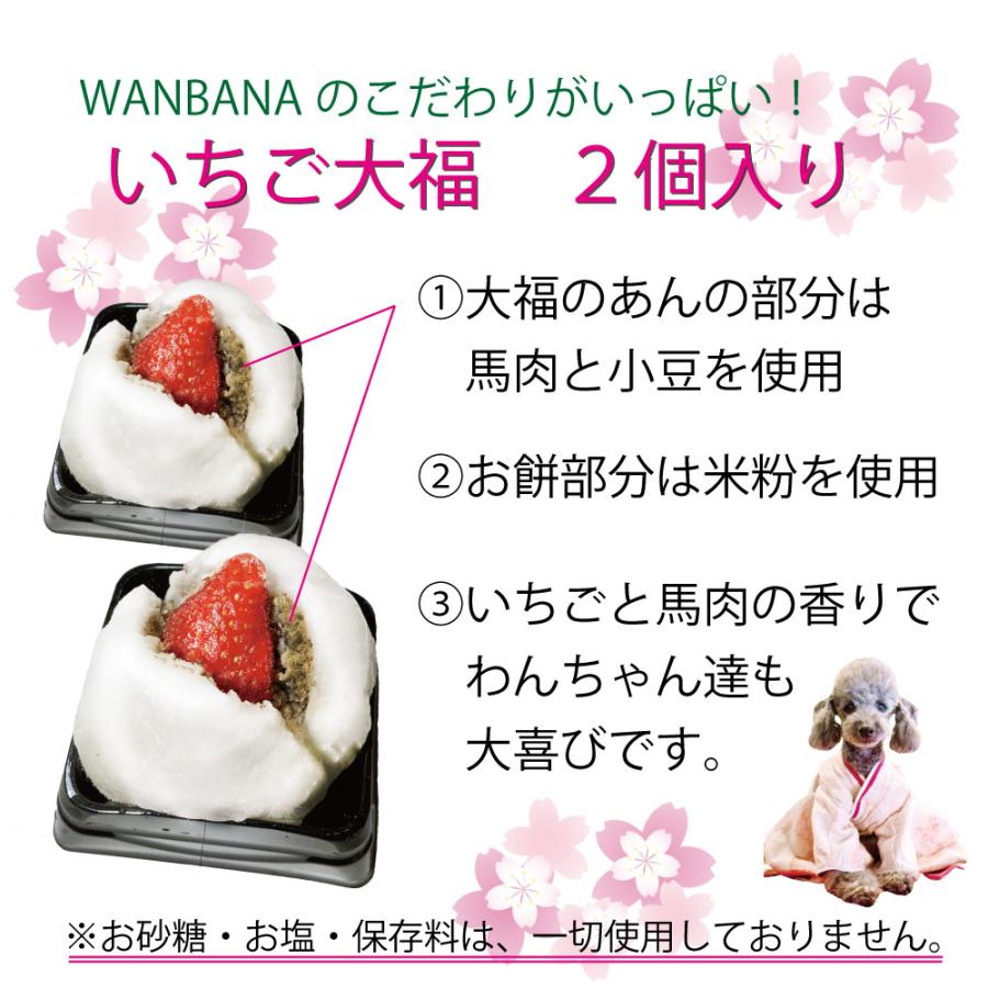 犬 いちご大福 2個セット米粉使用 アレルギー対応 ひな祭りや桃の節句には おいしいおやつヘルシー手作り 帝塚山wanbanaワンバナ6480円以上送料無料 H Ichigodaihuku 犬猫用ケーキおやつ帝塚山ワンバナ 通販 Yahoo ショッピング