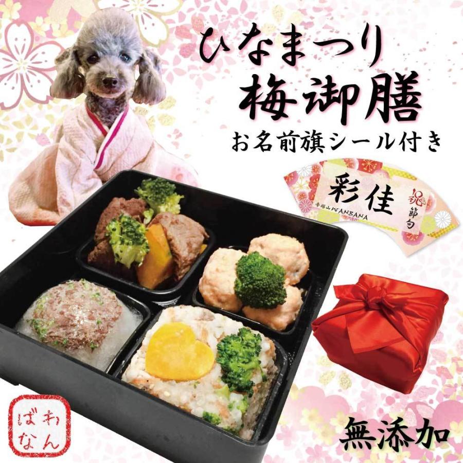 犬用ひなまつり桃の節句 男の子も女の子も 和の極み!特選食材 梅御膳 重箱付き お祝いパーティーにごちそう 国産無添加 ワンバナ｜wanbana