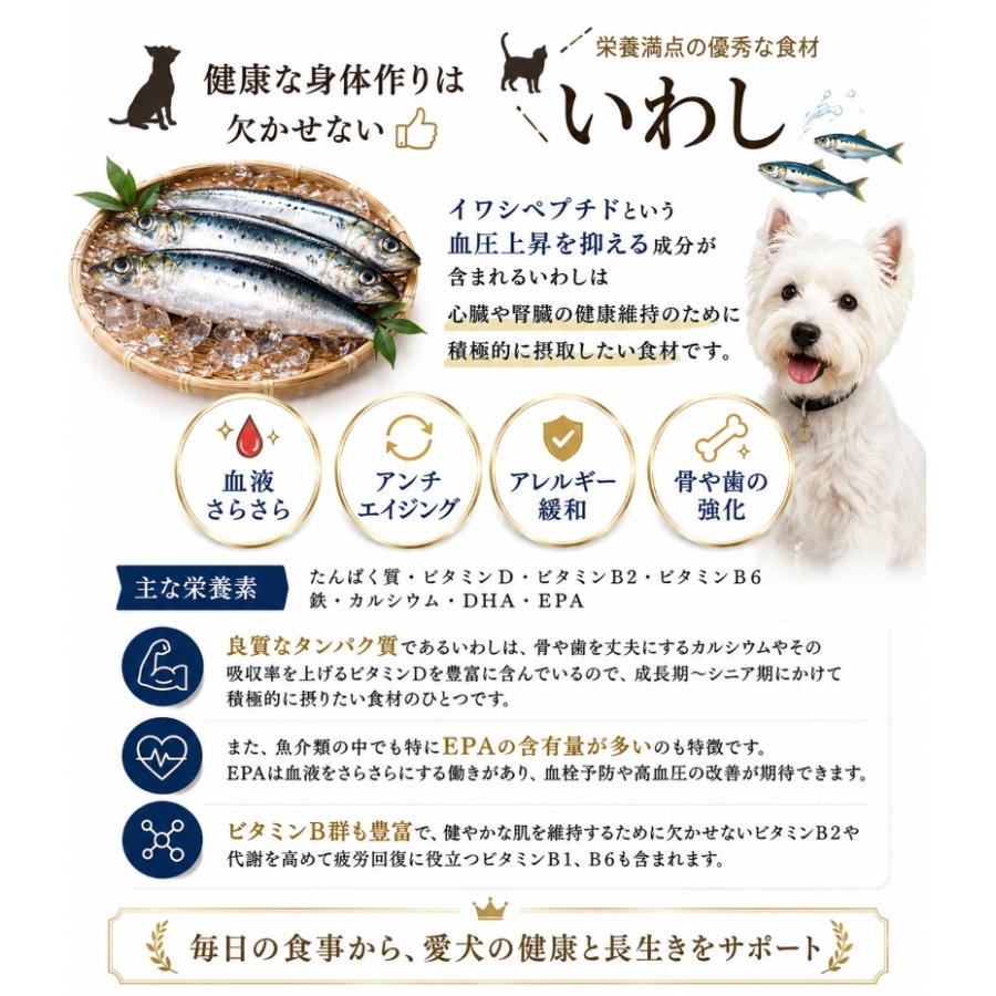 帝塚山WANBANA 犬用手作りごはん！国産いわしペースト500g小分けトレー