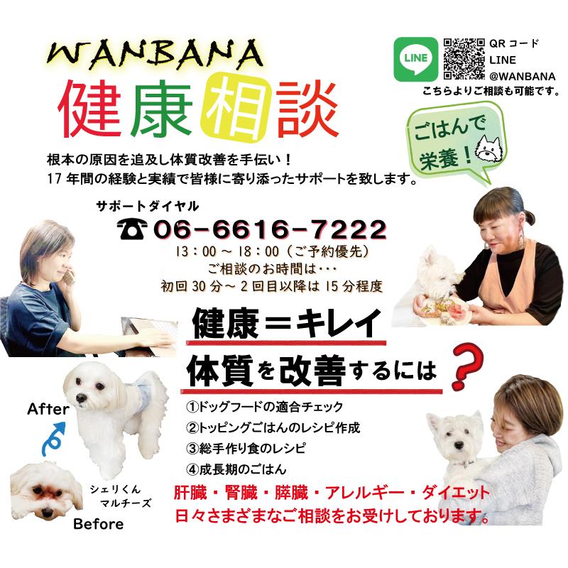 犬用 腎ケア 生肉 トッピング 手作りごはんに 国産 地鶏ネック丸ごとミンチ500g 小分けトレー 低リン カルシウムたっぷり 無添加のペット用品で健康な食事を Jidorineckminchi 500g 犬猫用ケーキおやつ帝塚山ワンバナ 通販 Yahoo ショッピング