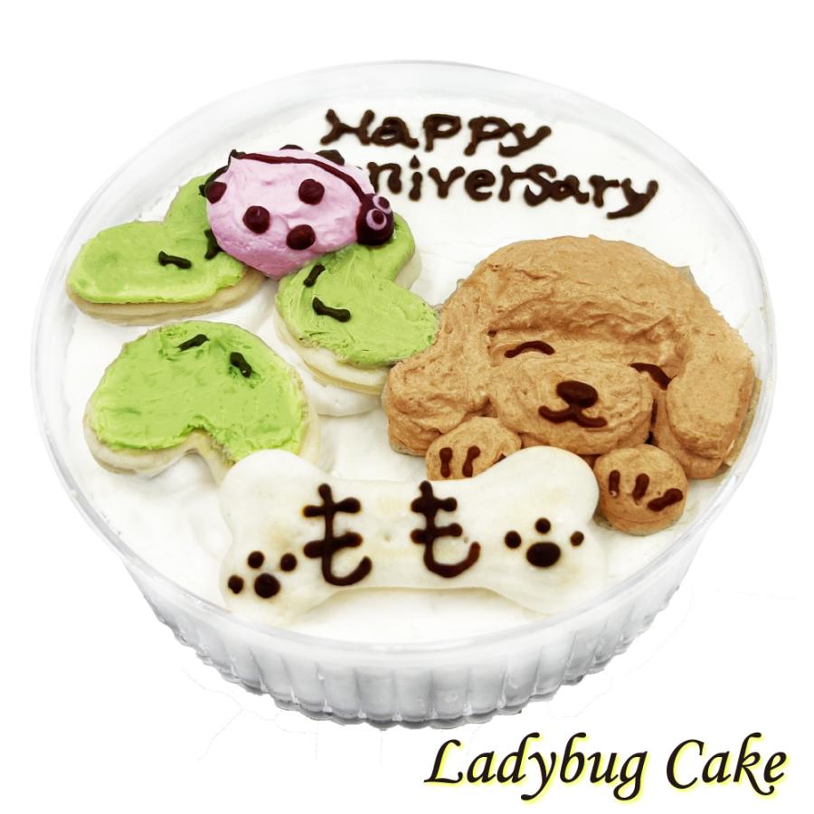 犬用 LadyBugケーキ てんとう虫とトイプードル 可愛いケーキ お誕生日はもちろんうちの子記念日やアニバーサリー 無添加のペット用品で健康な食事を｜wanbana