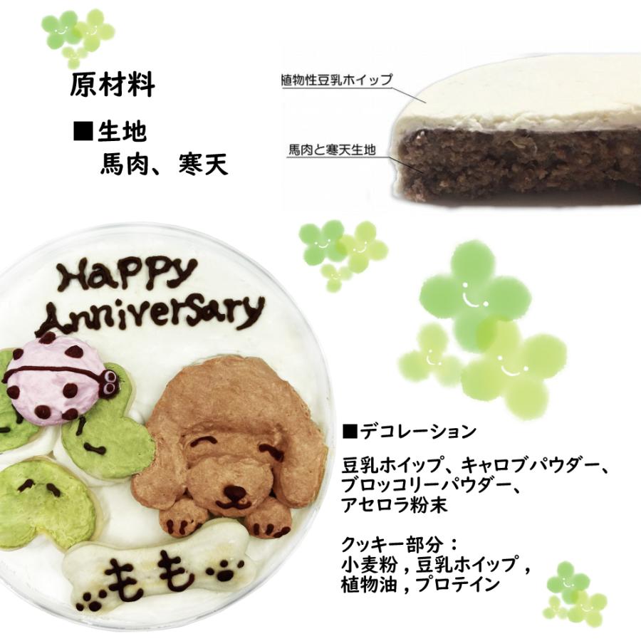 帝塚山WANBANA 犬用 LadyBugケーキ てんとう虫とトイプードル 可愛い