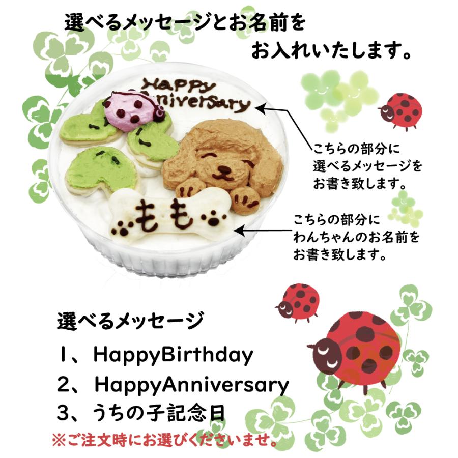 犬用 LadyBugケーキ てんとう虫とトイプードル 可愛いケーキ お誕生日はもちろんうちの子記念日やアニバーサリー 無添加のペット用品で健康な食事を｜wanbana｜03