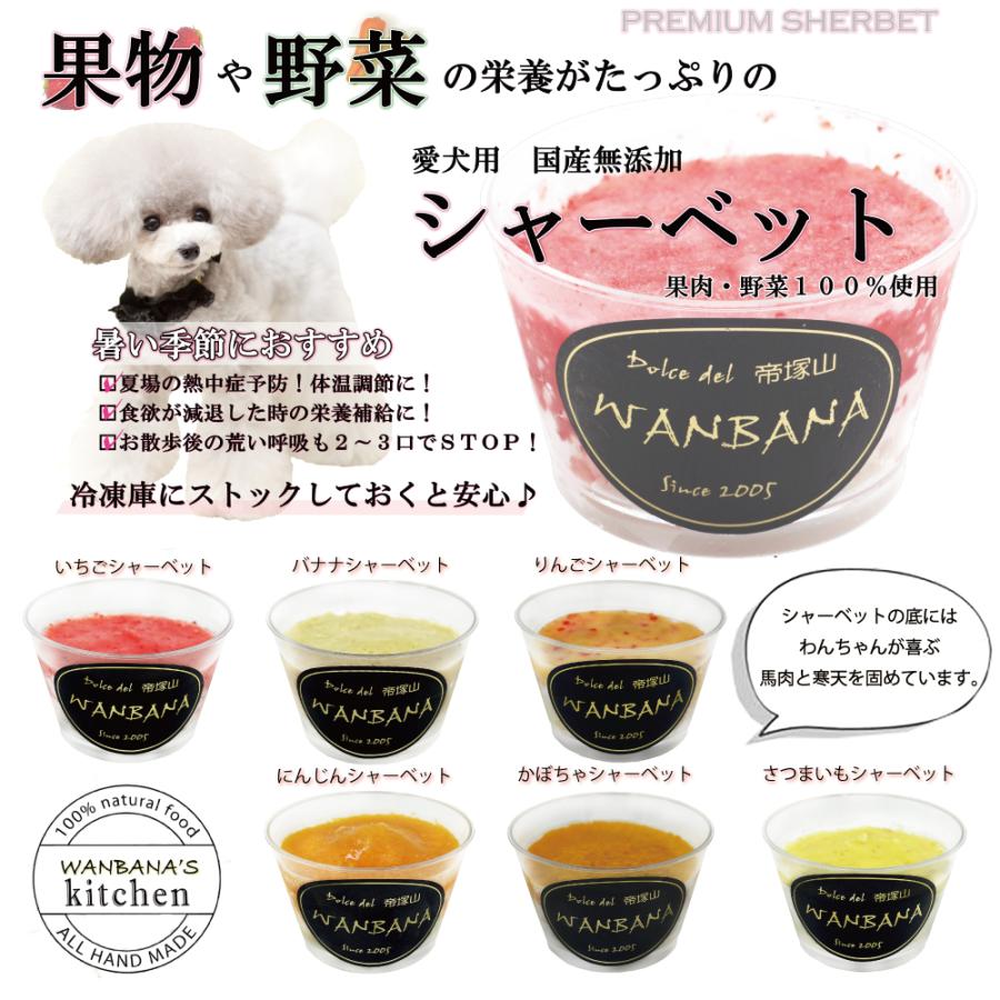 帝塚山WANBANA あすつく!犬用アイス ひんやり冷え冷え！野菜と果物