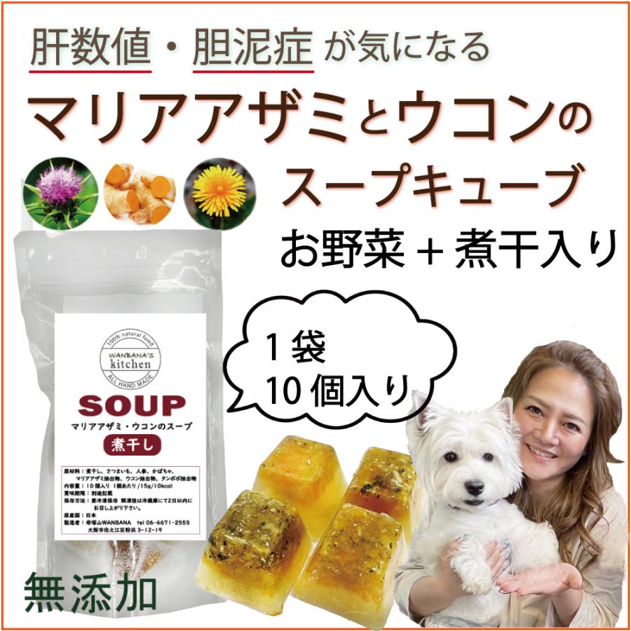 帝塚山WANBANA 犬用スープ 肝臓・胆泥ケアに！マリアアザミと煮干しの