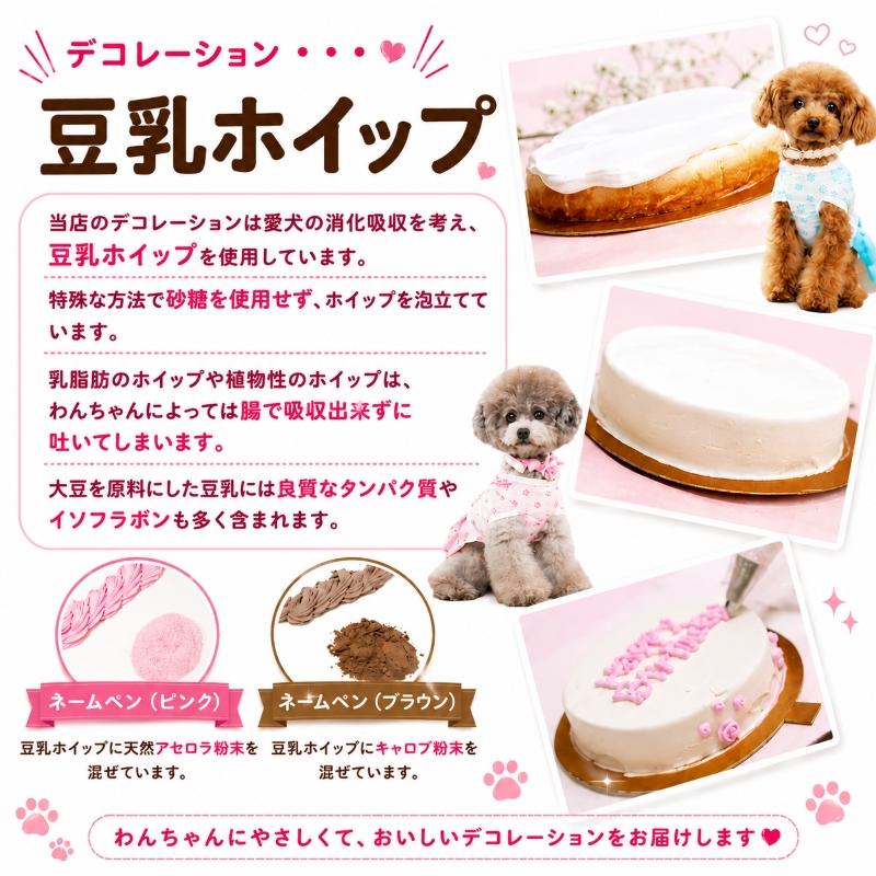 帝塚山WANBANA 犬用の似顔絵ケーキが立体に 1頭描きで野菜と大山鳥生地
