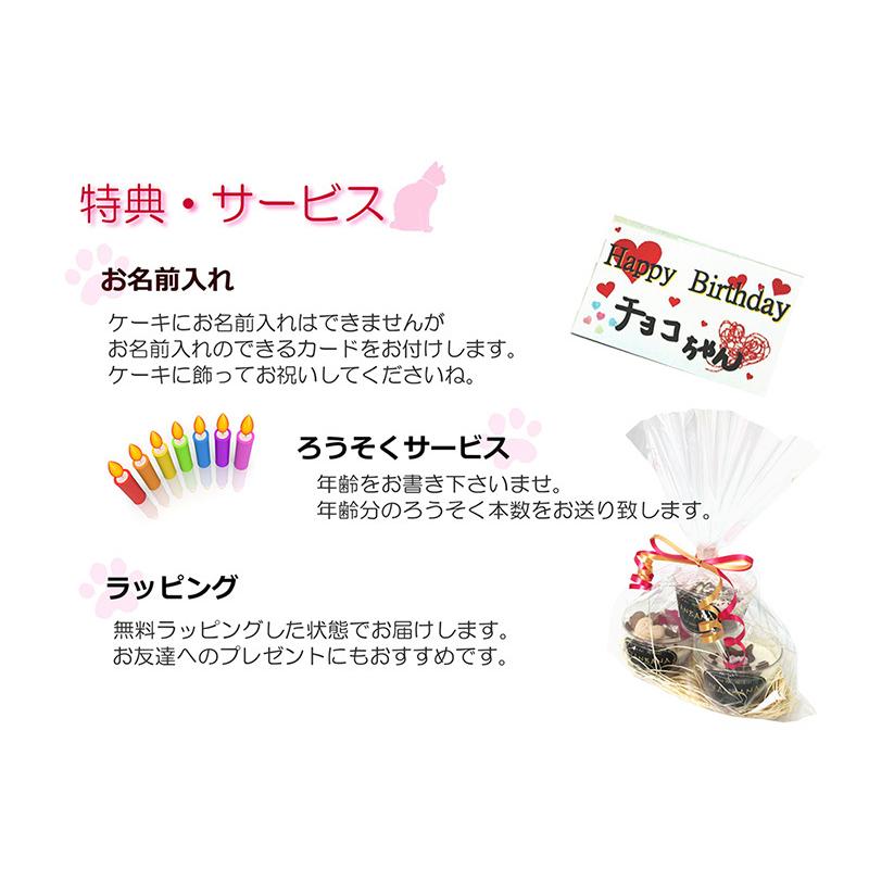 帝塚山WANBANA 猫 ケーキ ミニ カップ 3種類 セット 誕生日