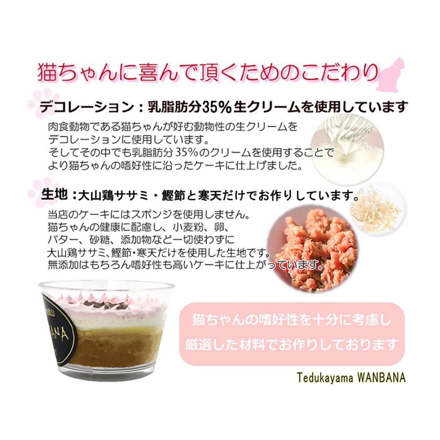 帝塚山WANBANA 猫 ケーキ ミニ カップ 3種類 セット 誕生日