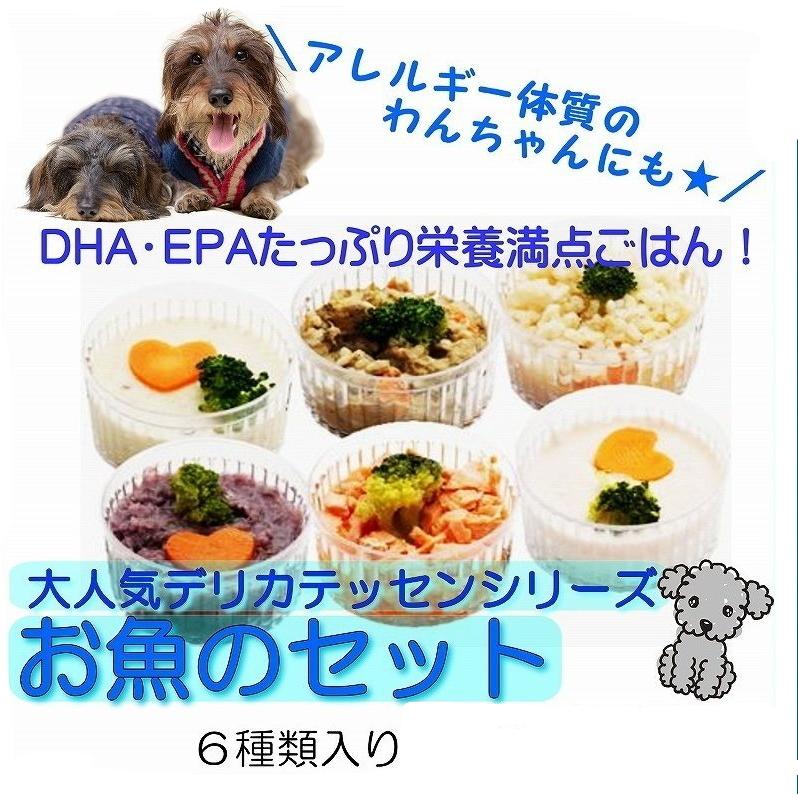 犬用のお中元はで国産のアレルギー対応の手作りごはんはお魚6種類セット 夏のギフトフードでおすすめ 無添加のペット用品で健康な食事を Otyuugen 11 犬猫用ケーキおやつ帝塚山ワンバナ 通販 Yahoo ショッピング