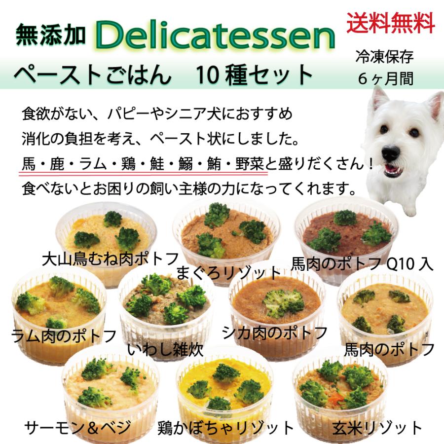 帝塚山WANBANA 犬用のごはん ドッグフード 離乳食 介護食 ペースト 状