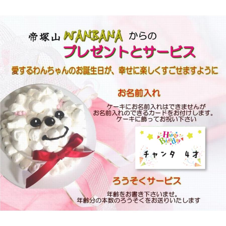 帝塚山WANBANA 犬用ケーキプチプードル馬肉がギッシリ！3号10cm大 満足