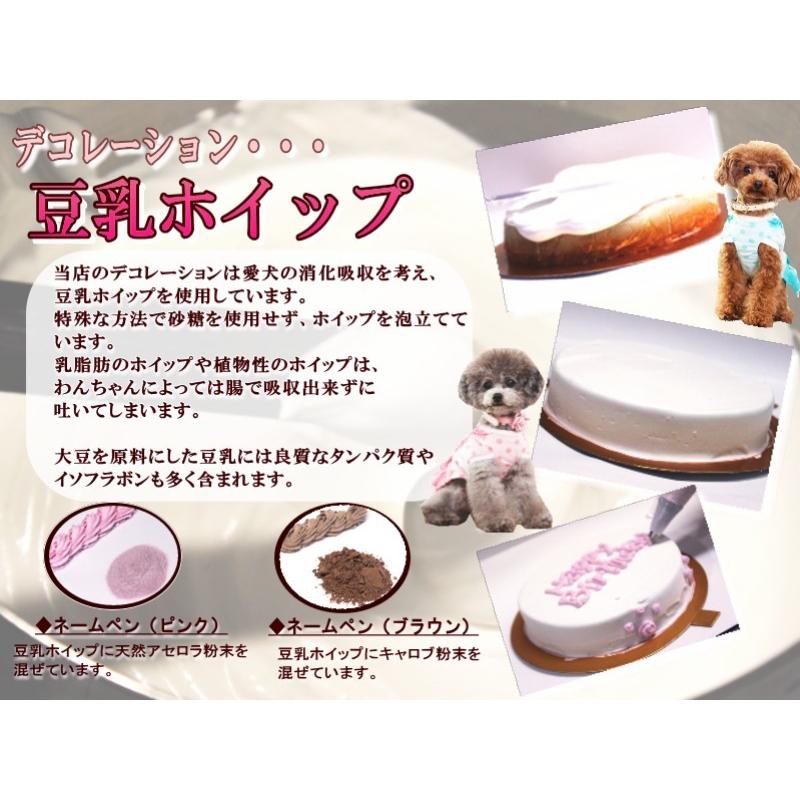 帝塚山WANBANA 犬用ケーキプチプードル馬肉がギッシリ！3号10cm大 満足