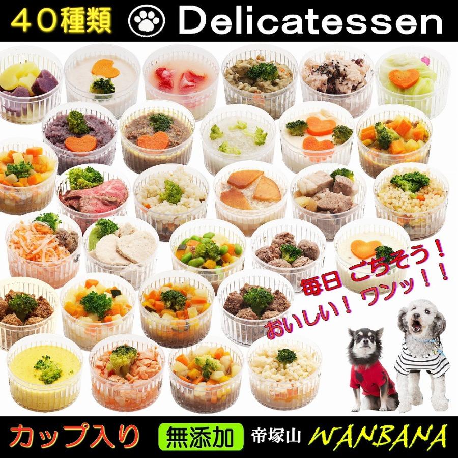 79 Off 犬用の無添加 ごはん ロール キャベツ 2個 ドッグ フード トッピング 手作り おやつ 無添加 低カロリー 帝塚山wanbana ワンバナ Dprd Jatimprov Go Id