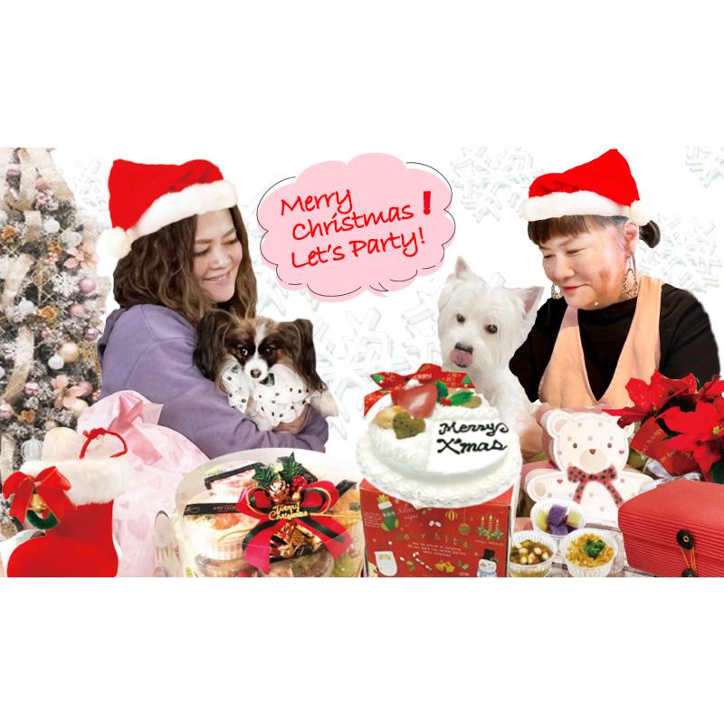 シーガルピューター　マロンわんわんさん専用 クリスマスオーナメント21点 帝塚山WANBANA あすつく！犬用クリスマスサンタブーツH おやつ