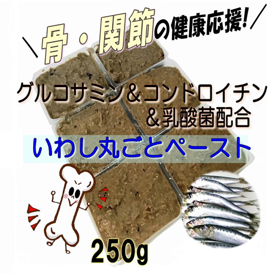 犬 まるごと 煮 国産 イワシ ペースト グルコサミン コンドロイチン 乳酸菌 入り 250g 手作り ドッグフード ごはん 材料 お試し用 Wanbana ワンバナ Sapuri Iwashi Guru 犬猫用ケーキおやつ帝塚山ワンバナ 通販 Yahoo ショッピング
