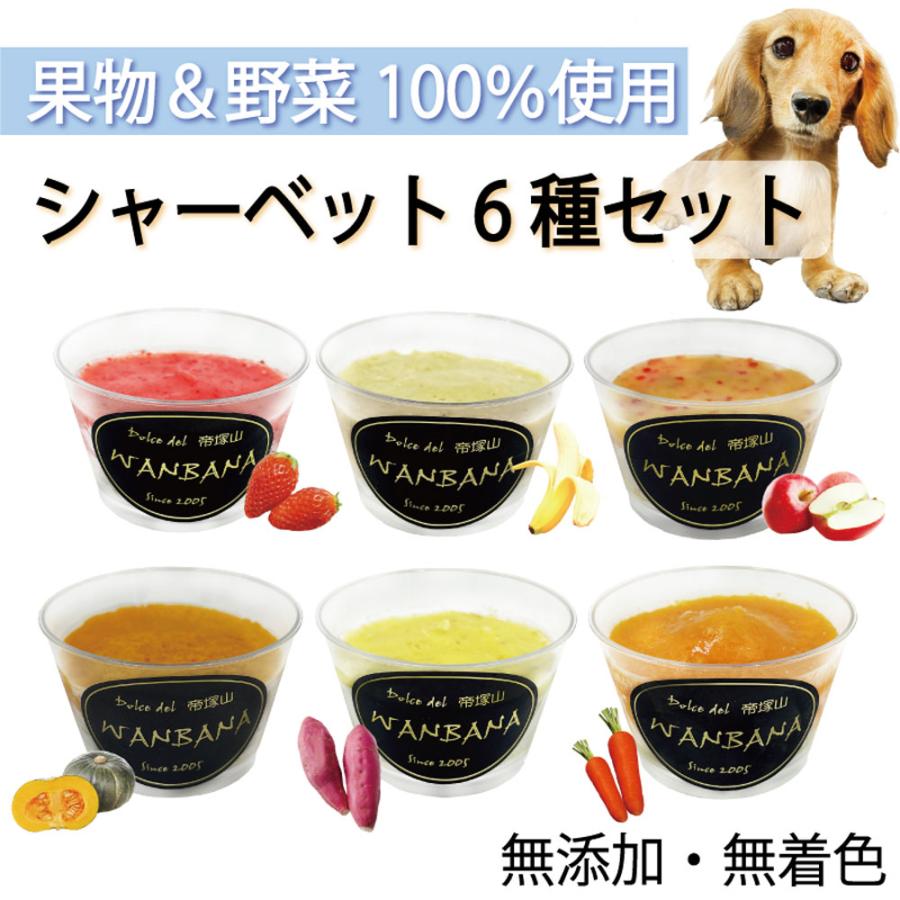 犬用のおやつ お得 野菜 果物 シャーベット 6種類 セット 馬肉入り 人気 プレゼント ギフト 無添加のペット用品で健康な食事を Sherbet All6set 犬猫用ケーキおやつ帝塚山ワンバナ 通販 Yahoo ショッピング