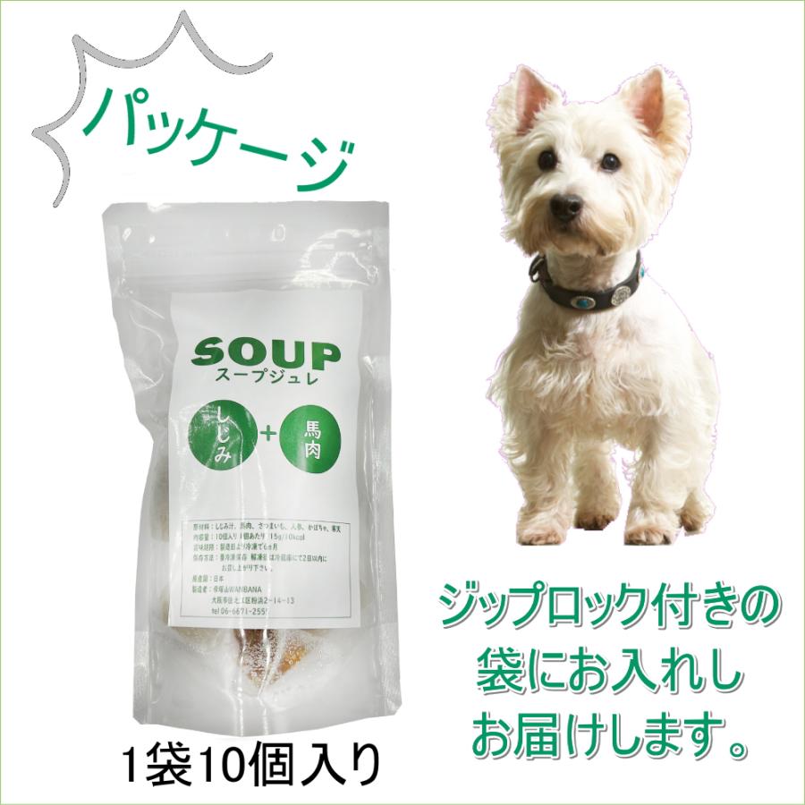 帝塚山WANBANA 犬用これぞ！お助けマン国産しじみスープキューブ(馬肉