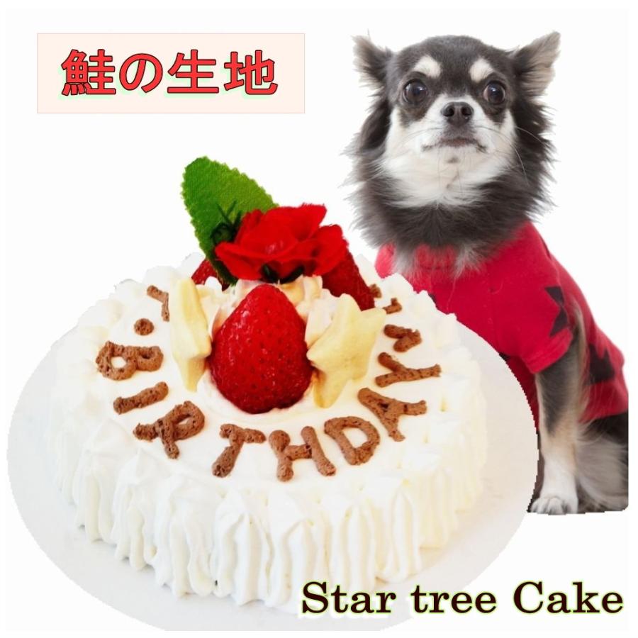 犬用 ミニ ケーキ スターツリー３号サイズ鮭生地 誕生日 無添加 おやつ プレゼント アレルギー 人気 Tv 放映 国産 6480円以上送料無料 帝塚山wanbana Star Tree Salmon 犬猫用ケーキおやつ帝塚山ワンバナ 通販 Yahoo ショッピング