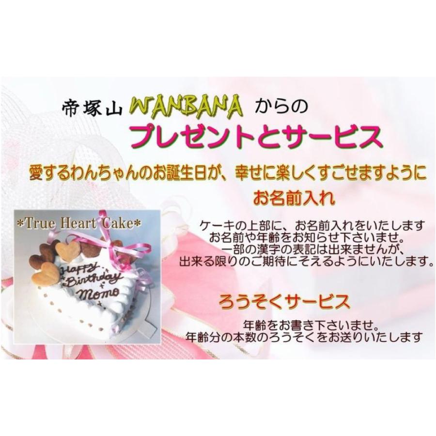 【新品未開封】ウォヌ バースデーパッケージ 第一弾 バパケ PASH！2025年4月号 PLAVE Special Edition 臨時増刊 | PASH