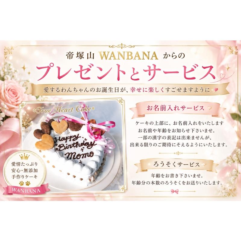 帝塚山WANBANA 犬用ケーキトゥルー ハート野菜馬肉4号12cmお昼までのご