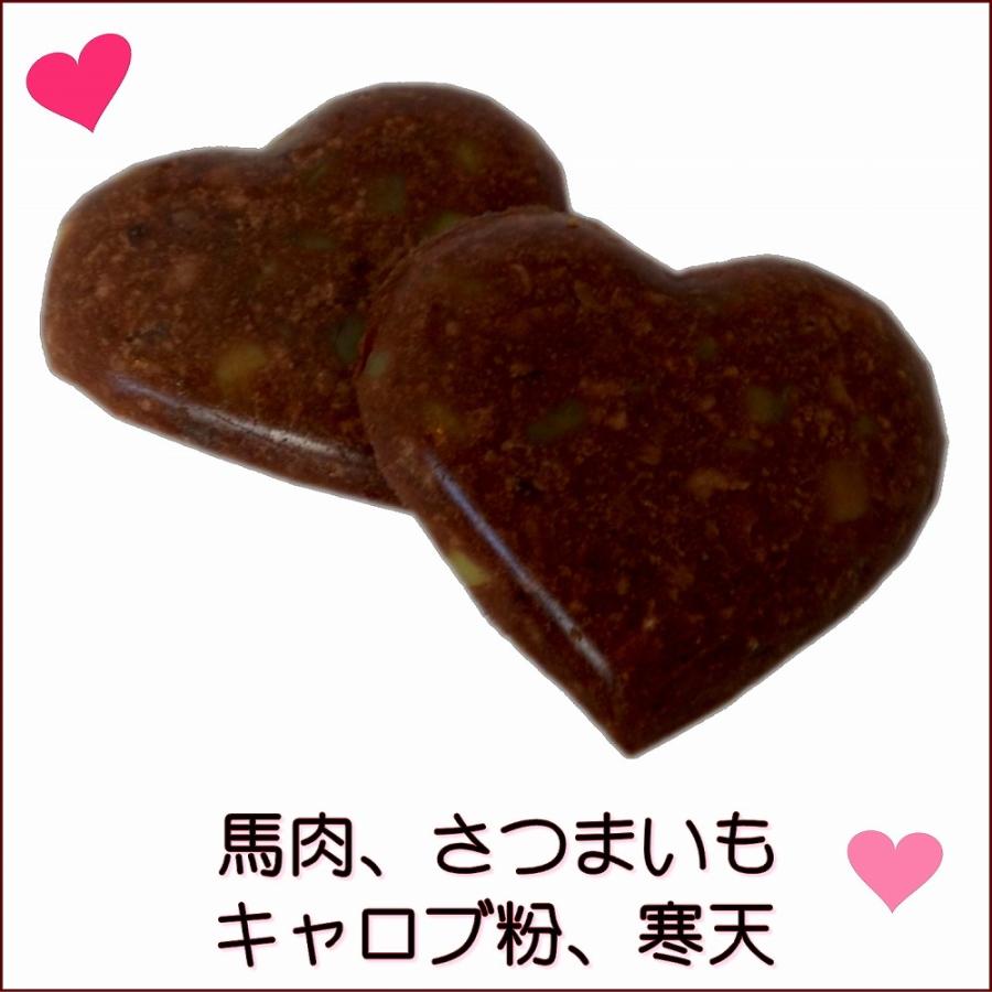 帝塚山WANBANA あすつく！犬バレンタイン無添加おやつ チョコレートに