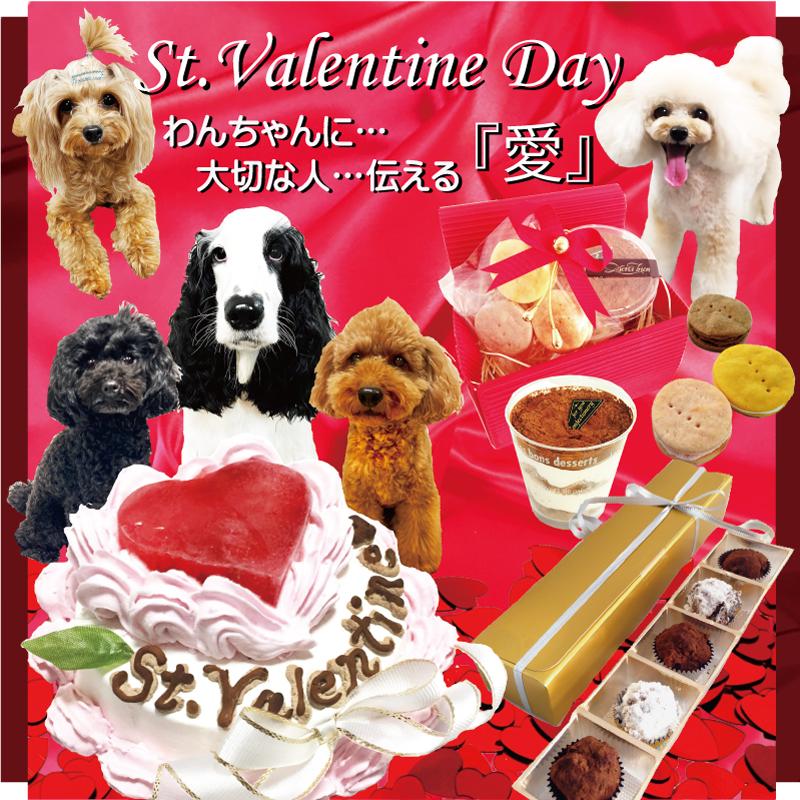 帝塚山WANBANA あすつく！犬バレンタイン無添加おやつ チョコレートに