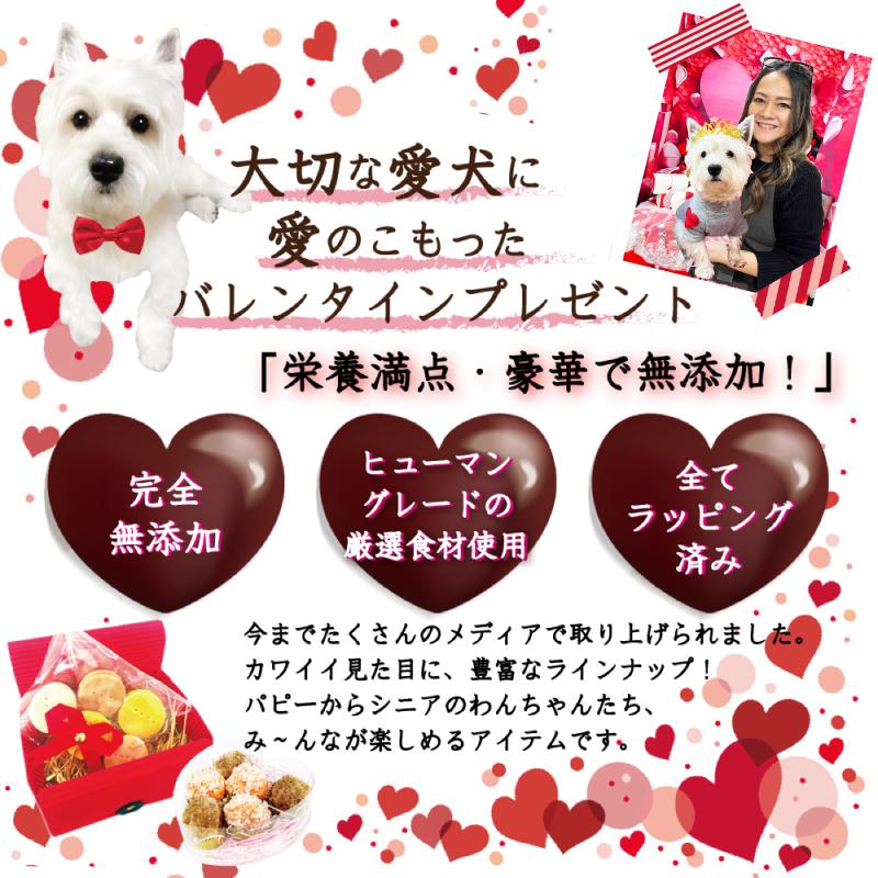 帝塚山WANBANA あすつく！犬バレンタイン無添加おやつ チョコレートに