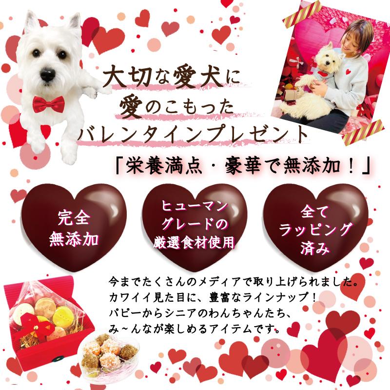 帝塚山WANBANA あすつく！犬用バレンタイン無添加おやつキラキラ王子様 