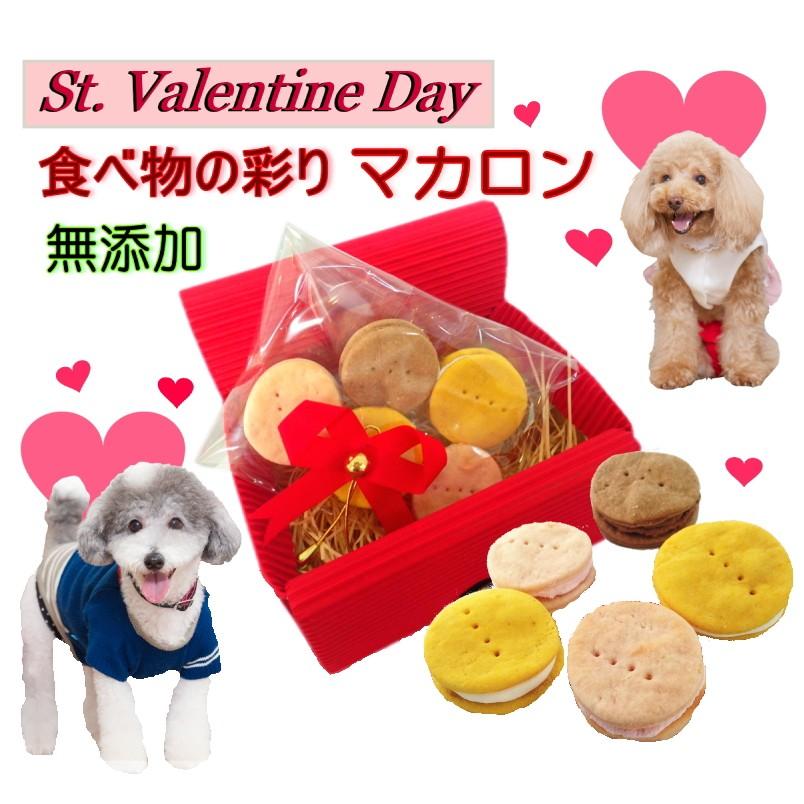 犬用 バレンタインデー ギフト マカロン ５個入り 無添加 ボックス ラッピング 無料 スイーツ おやつ 人気 プレゼント 帝塚山wanbana 6480円以上 送料無料 Valentine Gift Sweet Box 犬猫用ケーキおやつ帝塚山ワンバナ 通販 Yahoo ショッピング