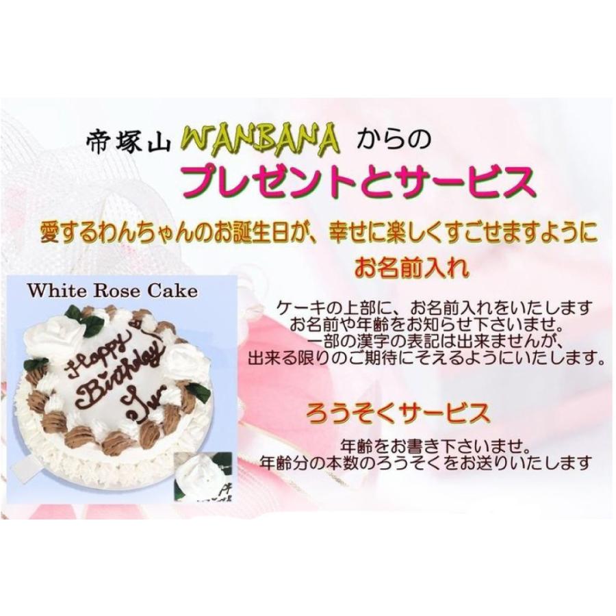 再入荷 予約販売 犬用のお誕生日フラワーケーキお野菜と大山鳥生地4号12cmサイズ 無添加 プレゼント 人気なバースデーでsns映え 国産 帝塚山wanbana ワンバナ Shipsctc Org