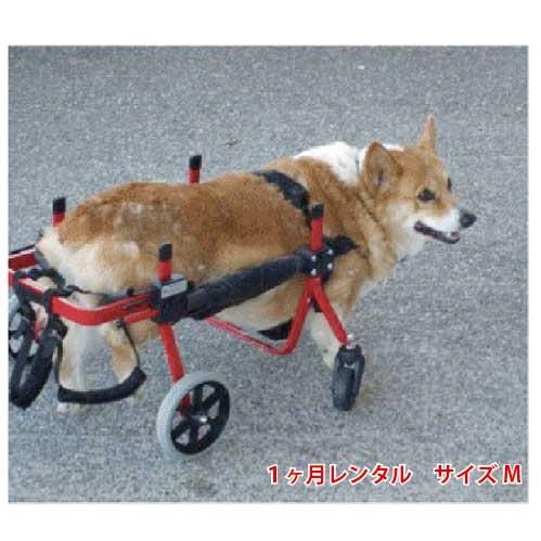 1ヶ月レンタル ４輪の犬の車椅子 K9カート犬用車椅子 M 11kg 18kg未満 犬 車椅子 車イス コーギー ミックス 柴犬 中型犬 Rent 4m 犬用車椅子と犬用介護用品わんケア 通販 Yahoo ショッピング