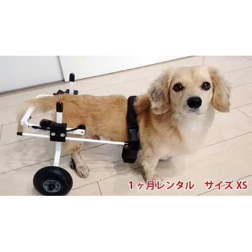犬用車椅子レンタル 1ヵ月レンタル】K9カート XSサイズ（5kg未満）｜後