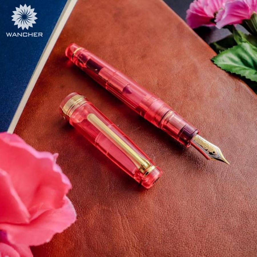 セーラー万年筆 WANCHER × SAILOR プロフェッショナルギア 21金 インカ