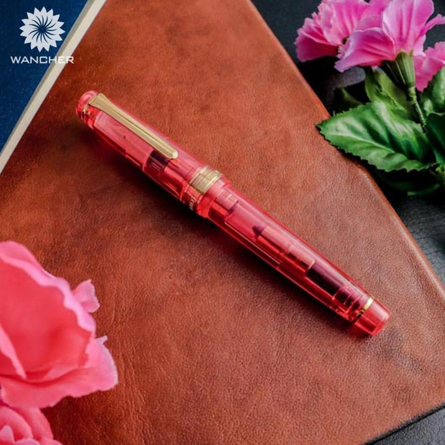 セーラー万年筆 WANCHER × SAILOR プロフェッショナルギア 21金 インカ