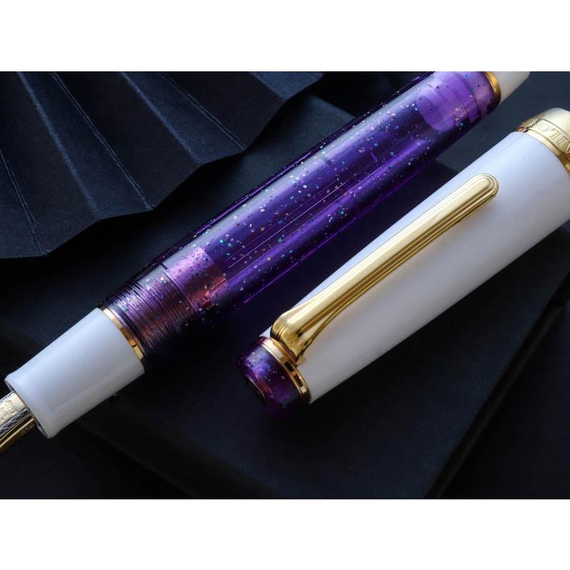 セーラー万年筆 WANCHER × SAILOR プロフェッショナルギア 21金 PURPLE
