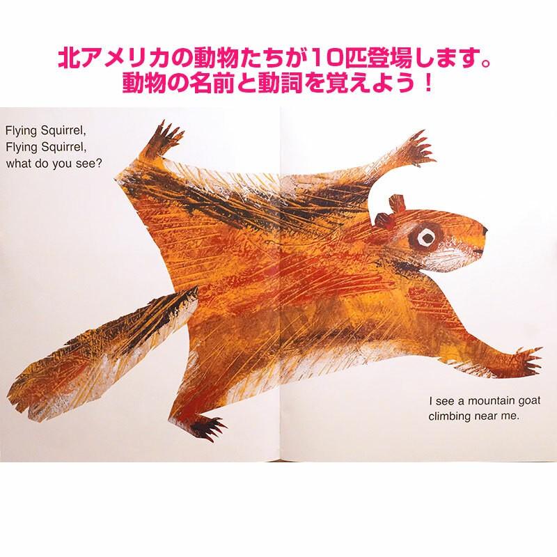大判 英語 絵本 Baby Bear Baby Bear What Do You See 読み聞かせ 幼児 エリックカール Bigbrobrobe 子供英語のぽけっと英語書店 通販 Yahoo ショッピング