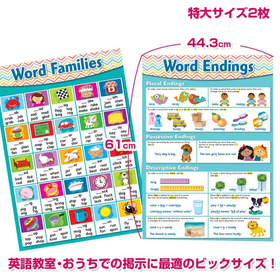 A1ポスターフォニックスルール一覧表 発音記号入り 小学生 子供 大人のフォニックス一覧表 幼稚園 縦cm 横59cm 英語教室 英会話教室 中学生