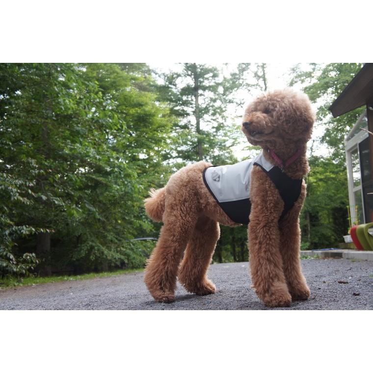 cani.cool COOL Coat Lサイズ CANI COOL]カニクール クールコート Lサイズ【クールジャケット