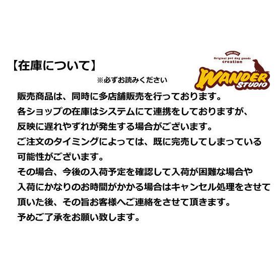 ドッグスロープ【DOGWALK3】ドッグステップKleinmetall（クラインメタル） |  | 09