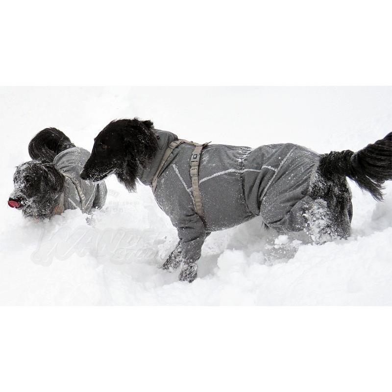大型犬・超大型犬用【在庫限り】【セール品につき返品・交換不可
