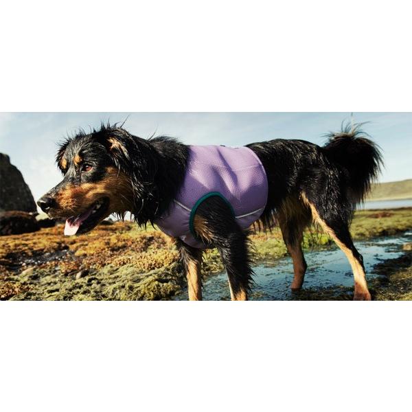 サイズXL・XXL【Hurtta】ドッグクーリングベスト フルッタ 体を冷やしてくれるドッグベスト 大型犬・超大型犬用 hurtta