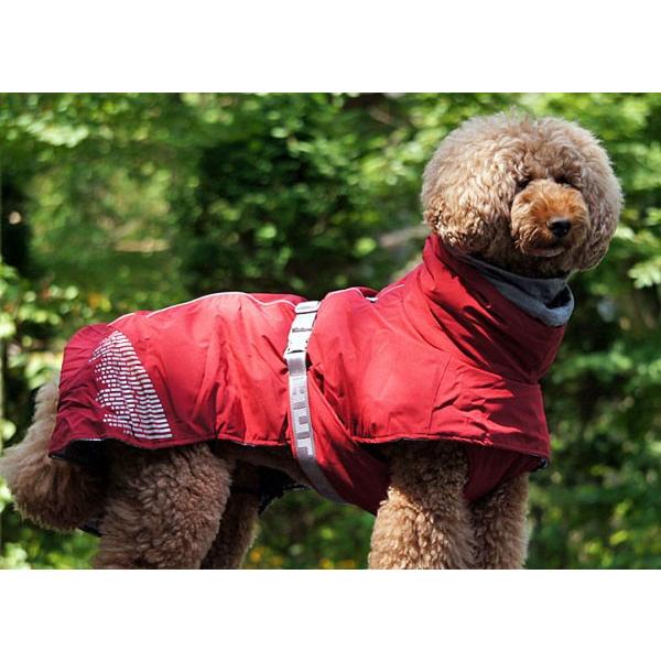 小型犬 中型犬用 Hurtta フルッタ エクストリームウォーマー カラー グレイ リンゴン コーラルカモ グリーンカモ 冬用 Hurtta Ex Warmer S Wanderstudio 通販 Yahoo ショッピング