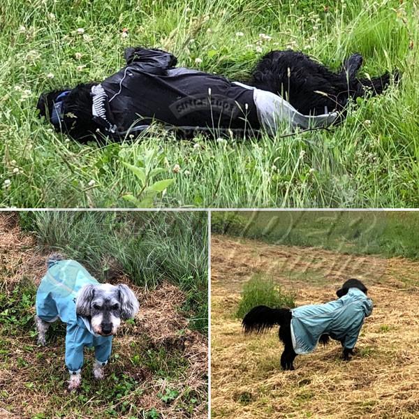 中型犬用 Hurtta Rain Blocker ＜レインブロッカー＞中型犬用 レインコート 防水の画像
