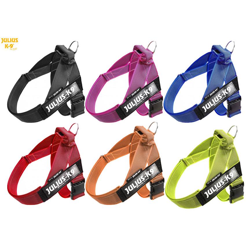 Size0 IDC@Color＆Gray Beltハーネス IDCカラーアンドグレイベルト