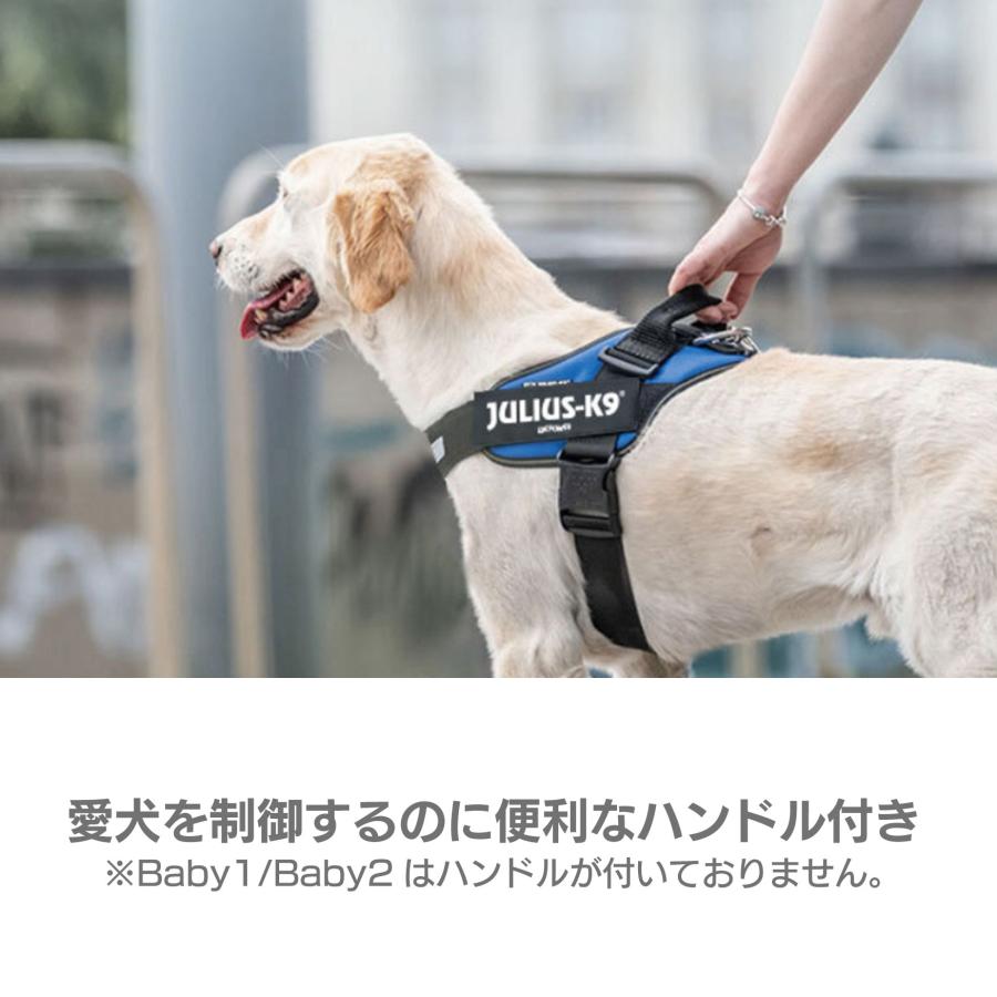 Baby1・Baby2 ユリウスK9 カラー1 IDCパワーハーネス ハーネス  ユリウスケーナイン 小型犬 犬 犬用 胴輪  胸囲29〜45cm 犬用ハーネス｜wanderstudio｜08