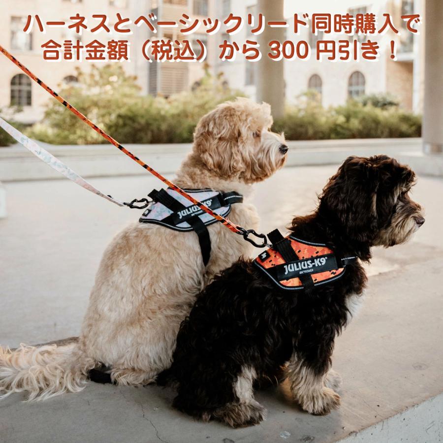 ベーシックリード 【Julius-K9 ユリウスK9】リード 犬用 犬用リード 幅20mm 2cm　長さ120cm ナスカン カラビナ 小型犬 中型犬 大型犬 対応! |  | 03