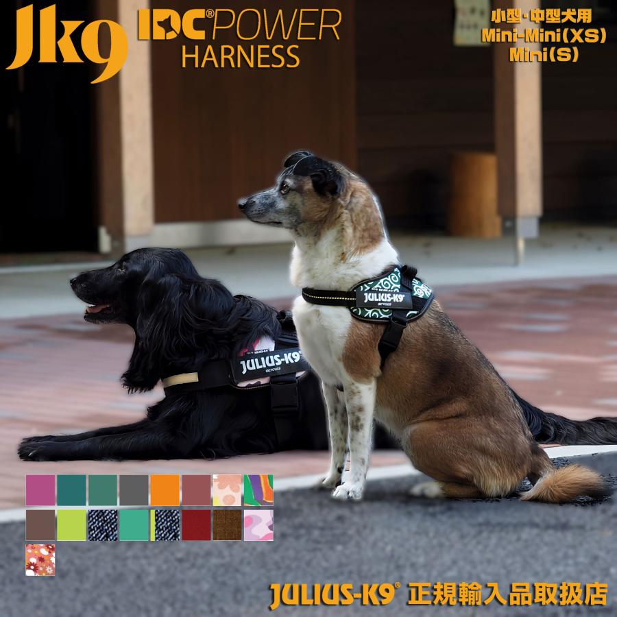 Mini 【日本製】 激安人気新品 Julius-K9 2016-2017カラー ハーネス 犬 小型犬 中型犬 ネコポス 全21色 IDCパワーハーネス胸囲40-67cm