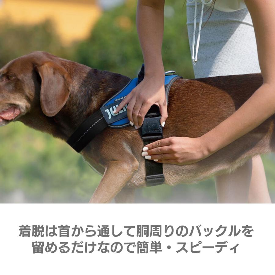 Mini Mini/Mini ユリウスK9  カラー1 IDCパワーハーネス胸囲40〜67cm 全21色 小型犬 中型犬犬用ハーネス [ネコポス送料無料！] |  | 02